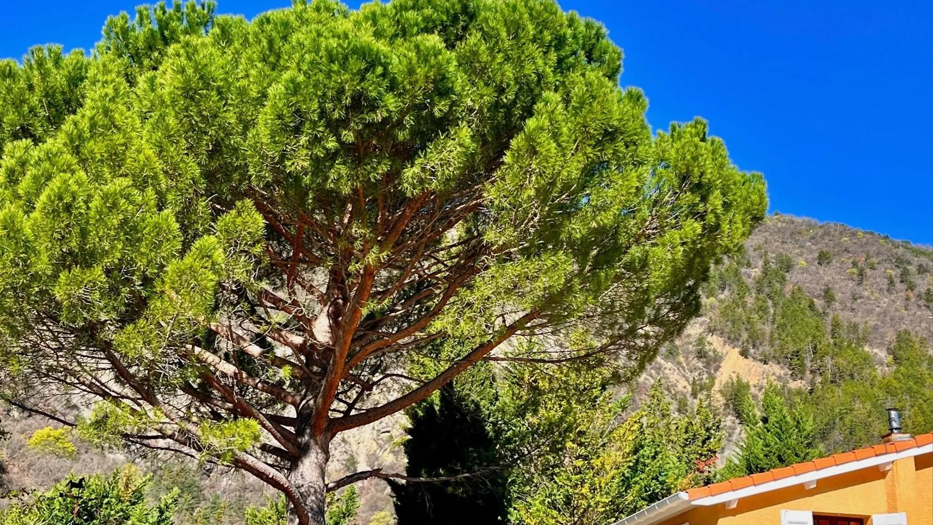 Bed & Breakfast Chambres D'Hotes - Le Pin Des Arches Digne-les-Bains